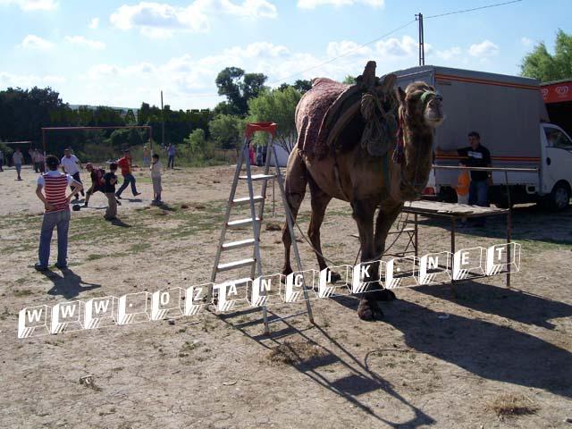 100_0340.JPG