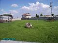 PICT0009