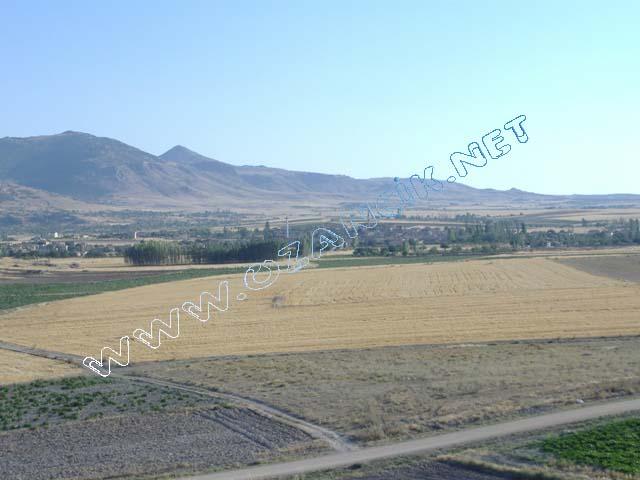 DSCF0420.JPG