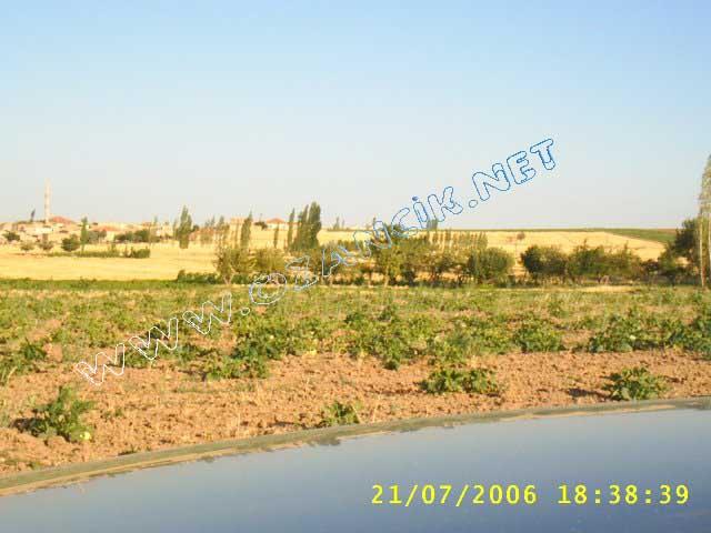 S3010110.jpg - M3367S-4507