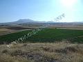 DSCF0421