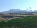DSCF0428