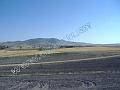 DSCF0429