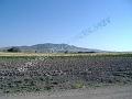 DSCF0436