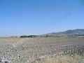 DSCF0438