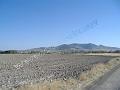 DSCF0439